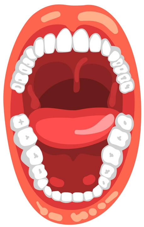 Full Mouth Reconstruction, Rehabilitation, Restoration